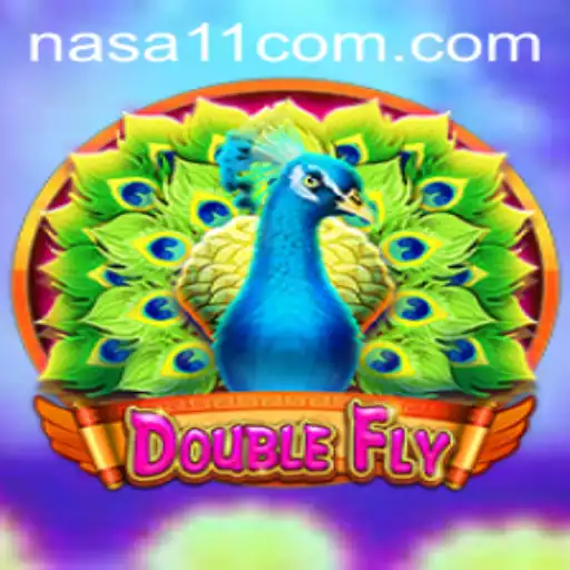 Exploring the Thrilling World of DoubleFly at NASA11 Casino