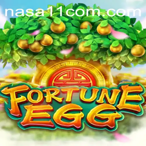 The Exciting Journey of FortuneEgg at NASA11 Casino